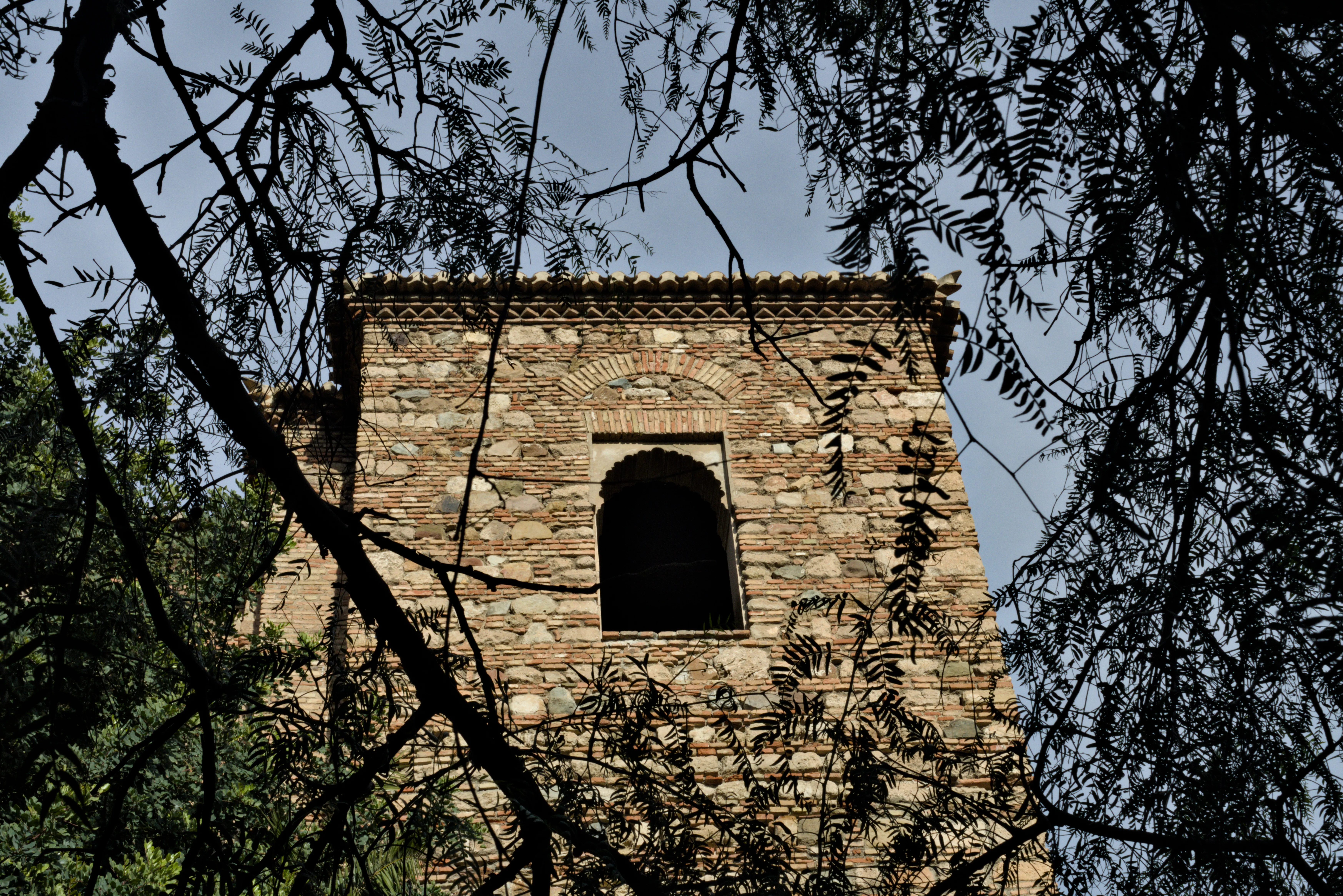 Meyer-Optik Görlitz Primagon 35mm f4.5 (M42) - _I4A7281.webp